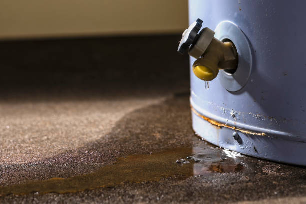 Best Water damage contractors near me  in Bloomington, CA