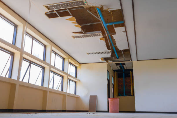 Best Flooded house restoration  in Bloomington, CA