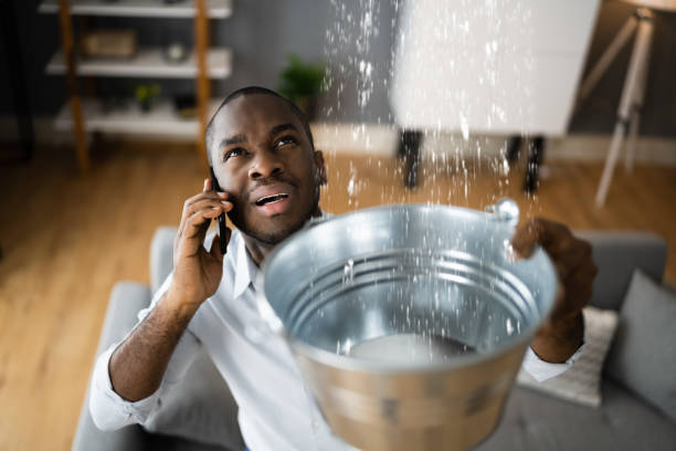 Best Mold removal after water damage  in Bloomington, CA