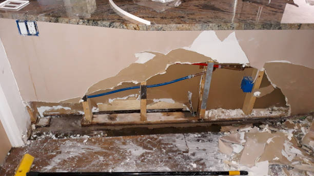 Best Ceiling water damage repair  in Bloomington, CA