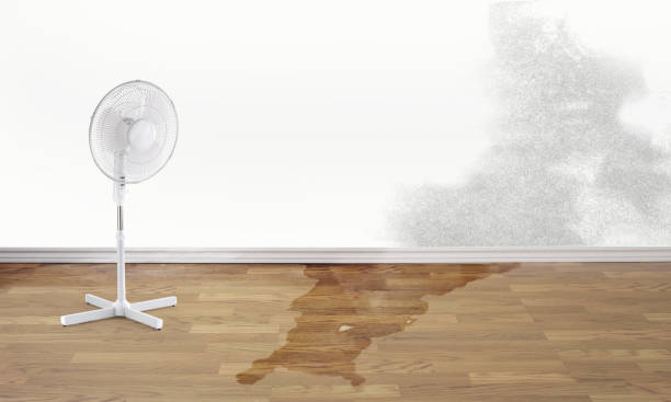 Water damage restoration process in Bloomington, CA