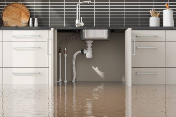Best Water damage restoration company  in Bloomington, CA
