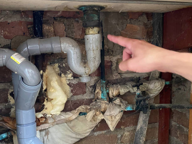 Best Commercial water damage restoration  in Bloomington, CA