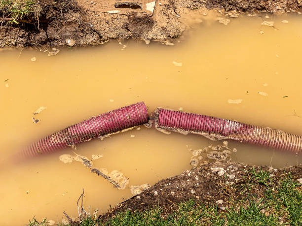Best Carpet water damage restoration  in Bloomington, CA