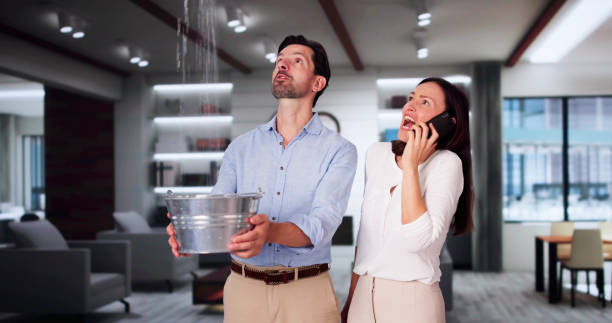 Best Basement water damage restoration  in Bloomington, CA