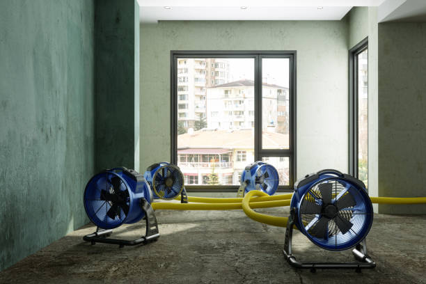 Best Professional water damage repair  in Bloomington, CA