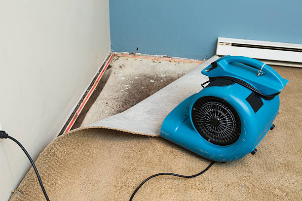 Best Water damage contractors near me  in Bloomington, CA